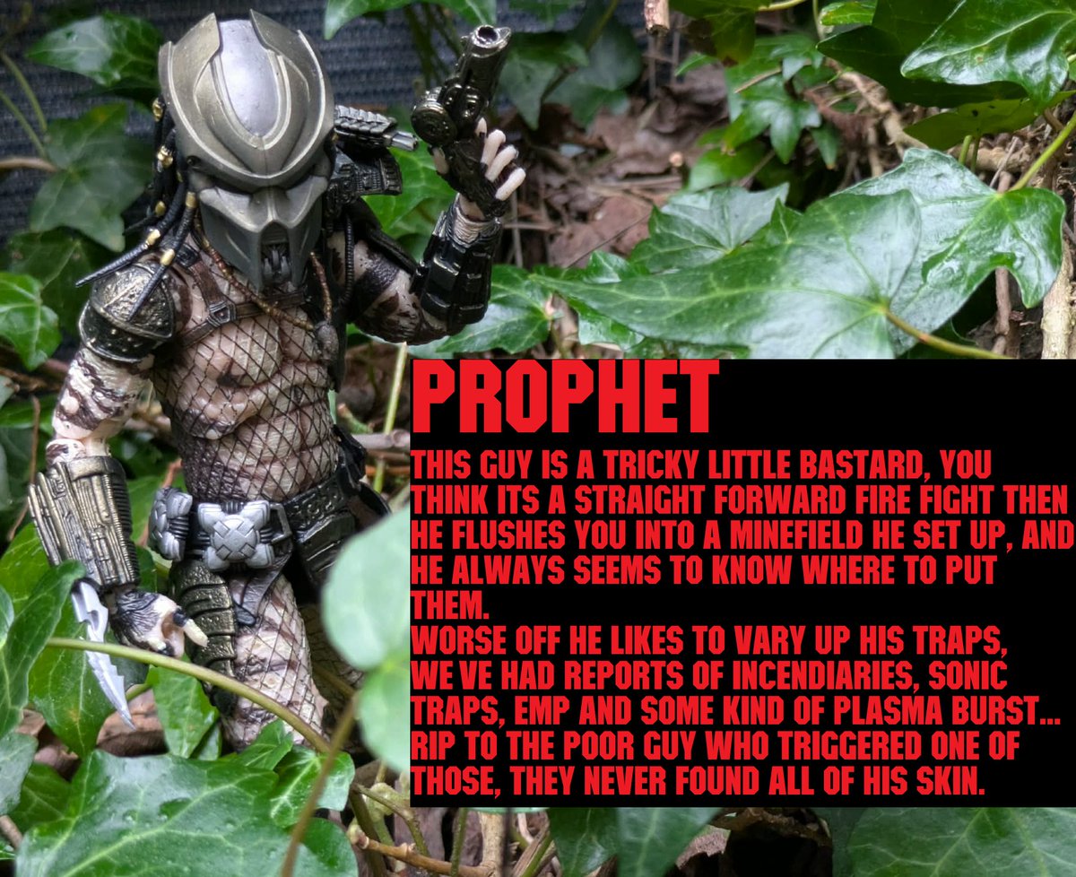 Dane Mercer tweet media