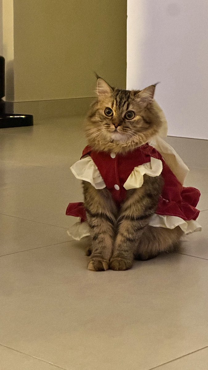 حسناء tweet media