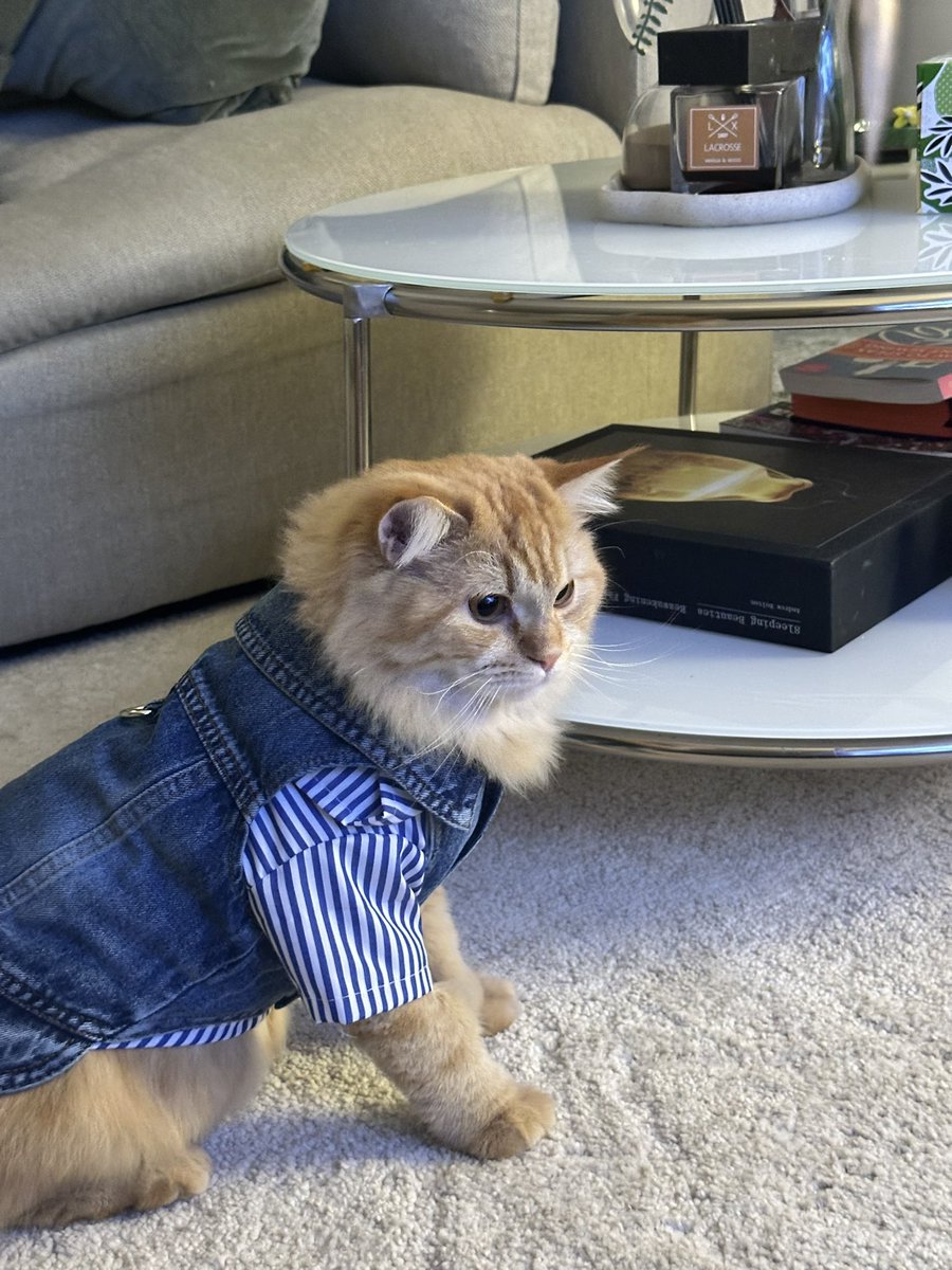 حسناء tweet media