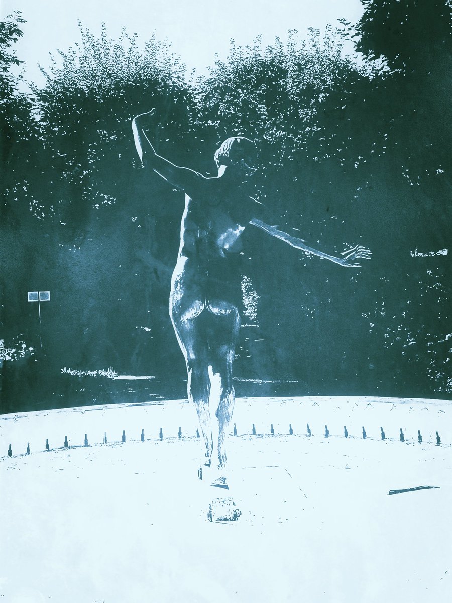 Nata_Darlex🕊️ tweet media