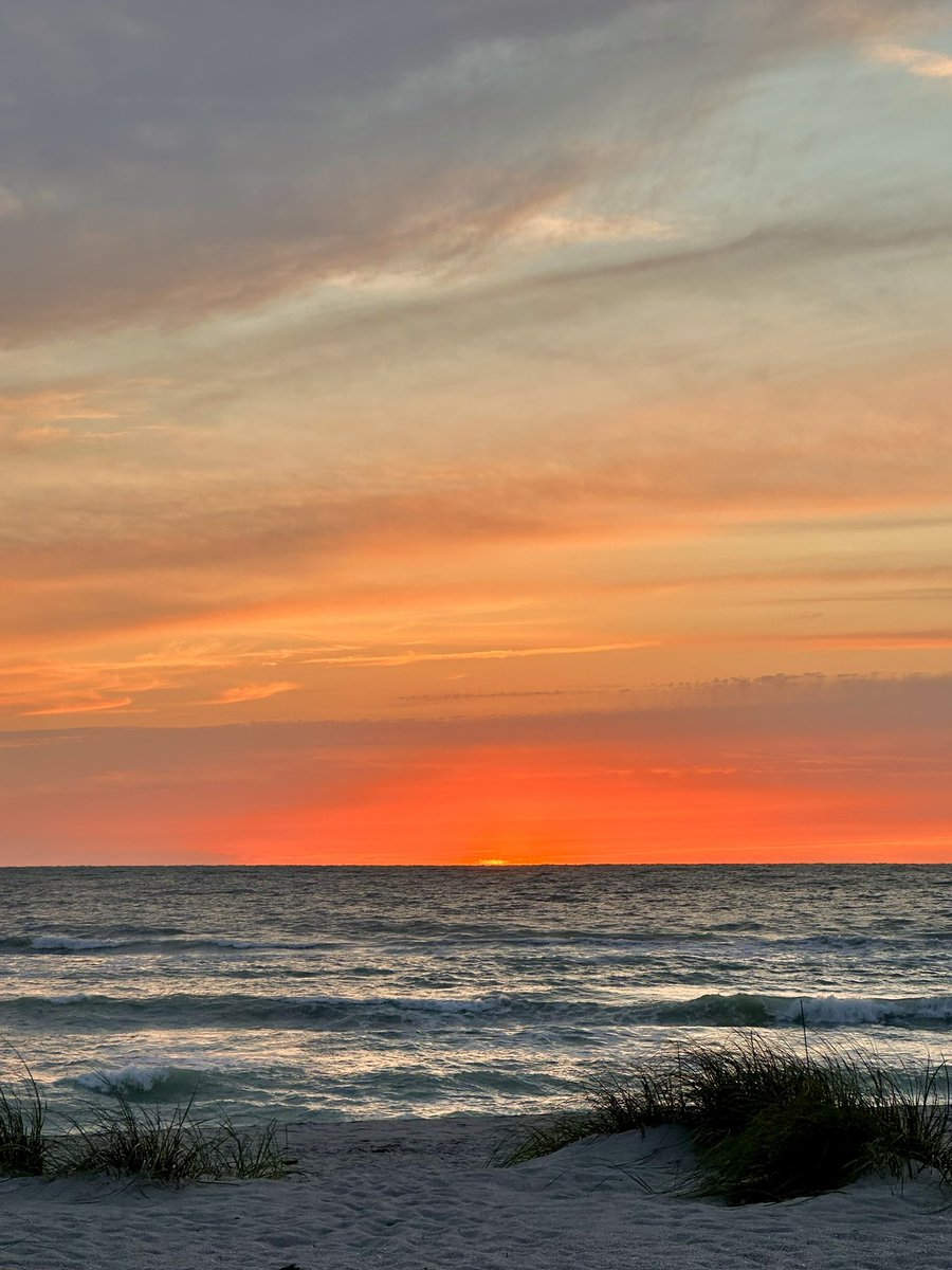 Mira🌺 tweet media