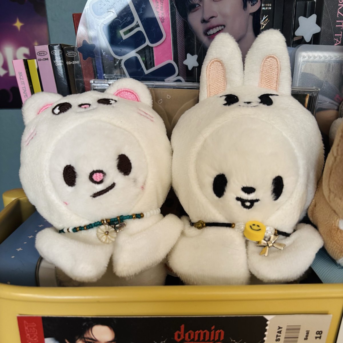 momo ☘️🍁 tweet media