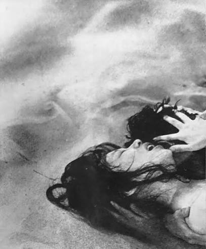 Daniel Novel tweet media