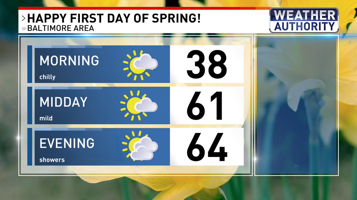 Amy Aaronson tweet media