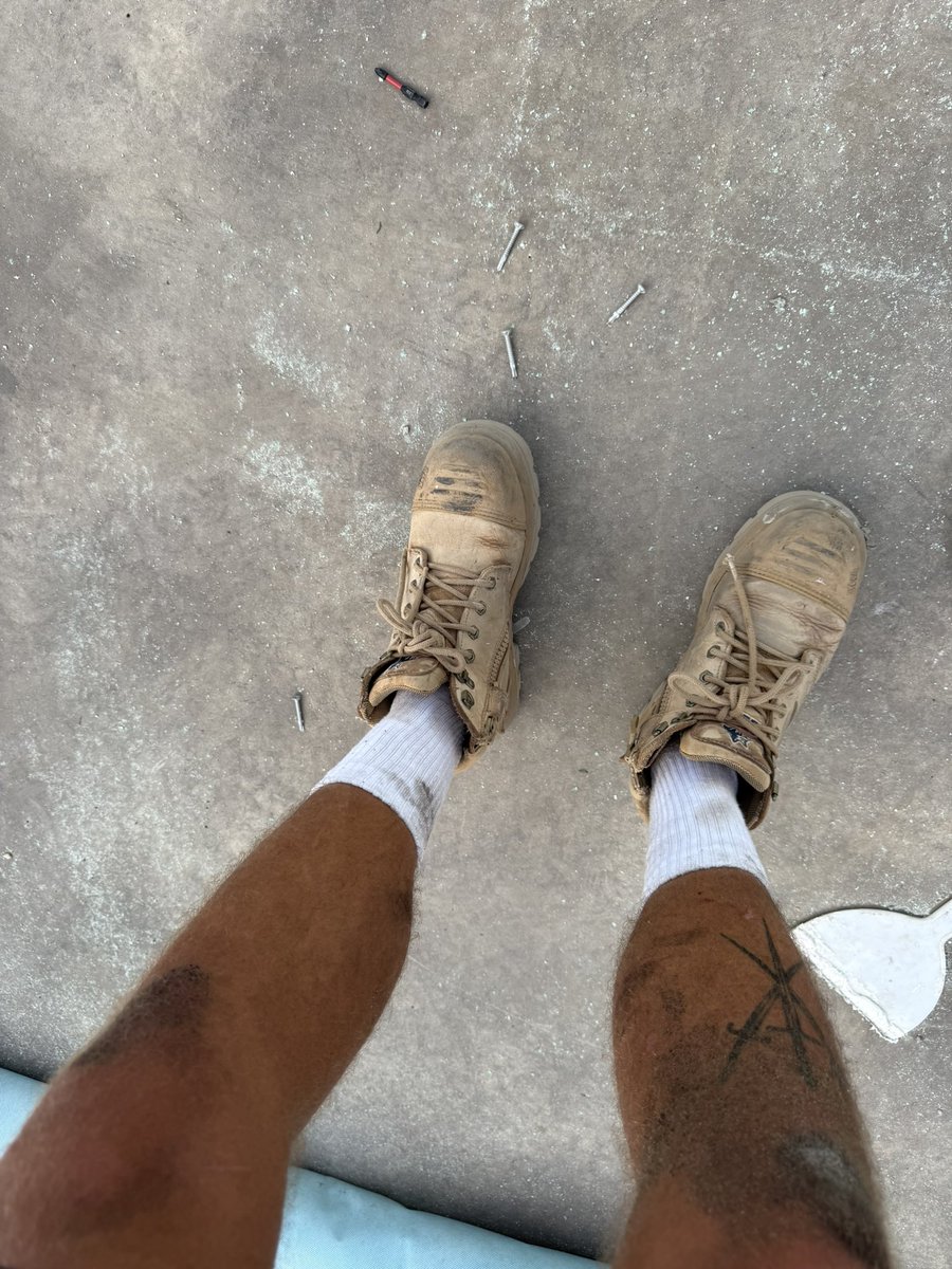 Alpha Troy tweet media