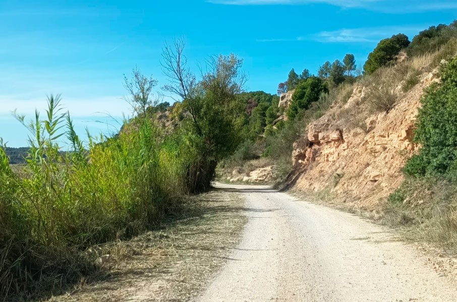 🌿 L’<a href="/ajuntamentflix/">Ajuntament de Flix</a> ha rebut una subvenció del Pla #ImpulsDipta de la <a href="/Dipta_cat/">Diputació de Tarragona</a> per a la millora ambiental i el manteniment d’infraestructures municipals. Una inversió que reforça la sostenibilitat i la qualitat dels espais públics del municipi.

flix.cat/2026/03/20/la-…