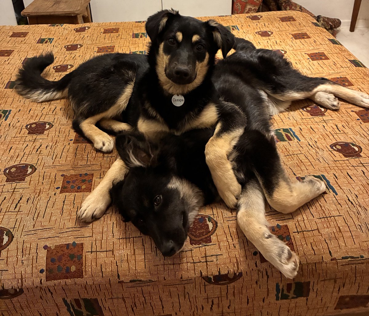 anygoodloot? tweet media