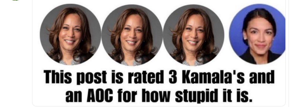 WT Fmerica tweet media