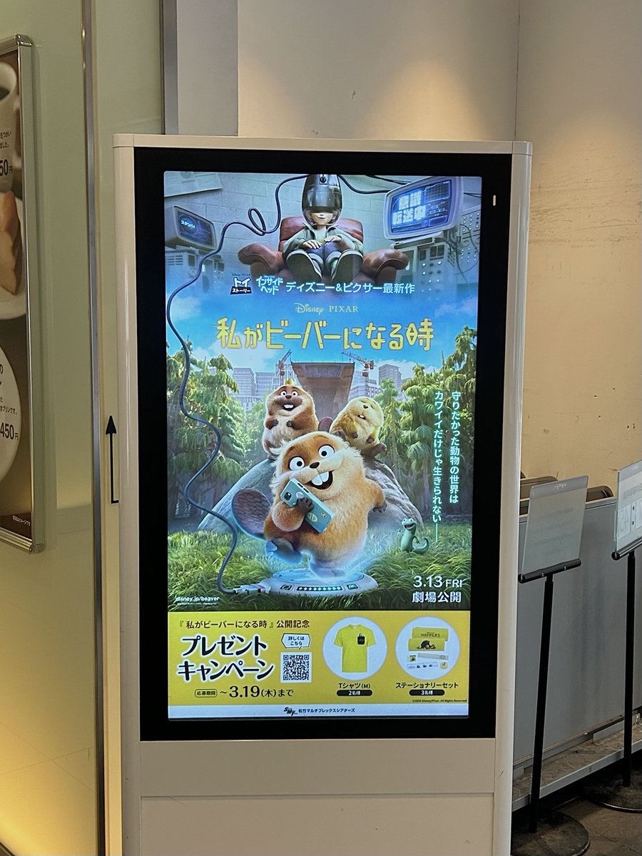 𝗆𝗈𝖼𝗈 tweet media