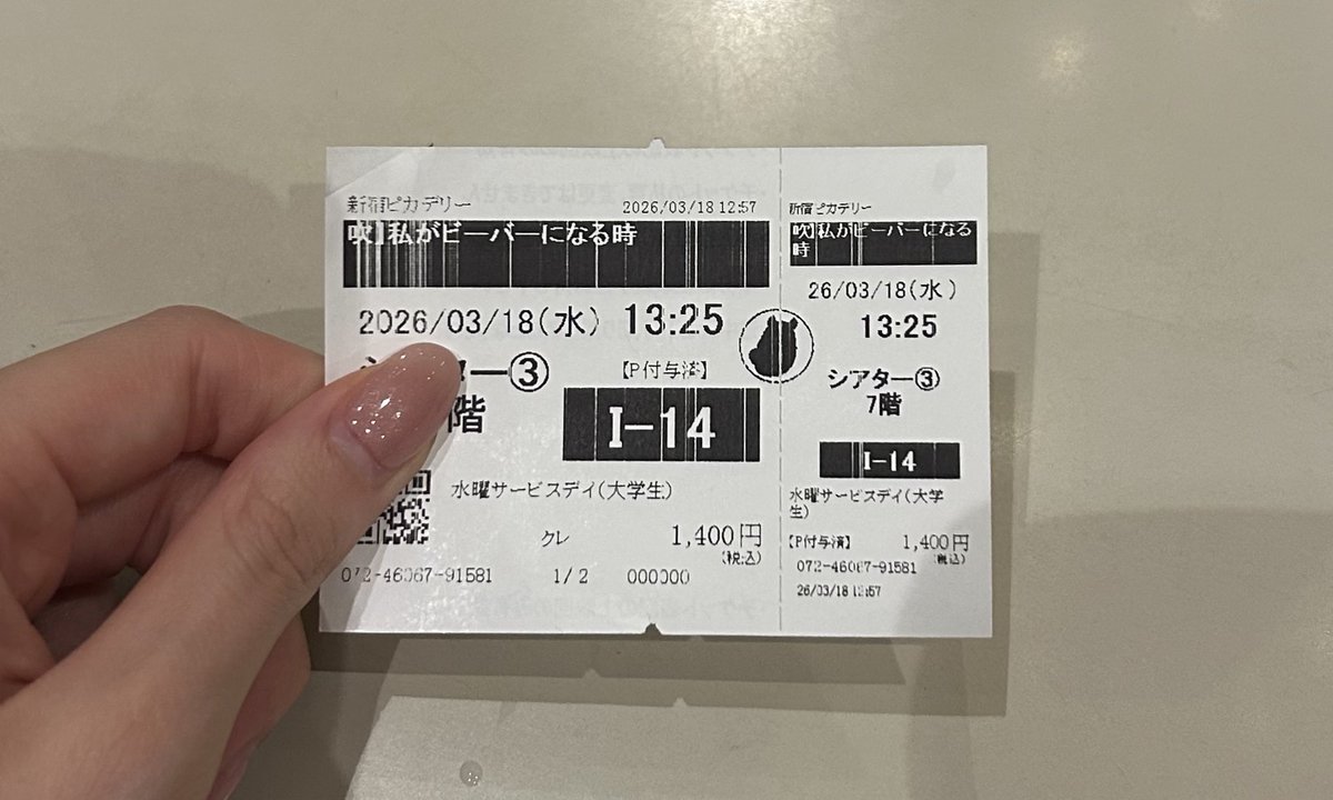 𝗆𝗈𝖼𝗈 tweet media