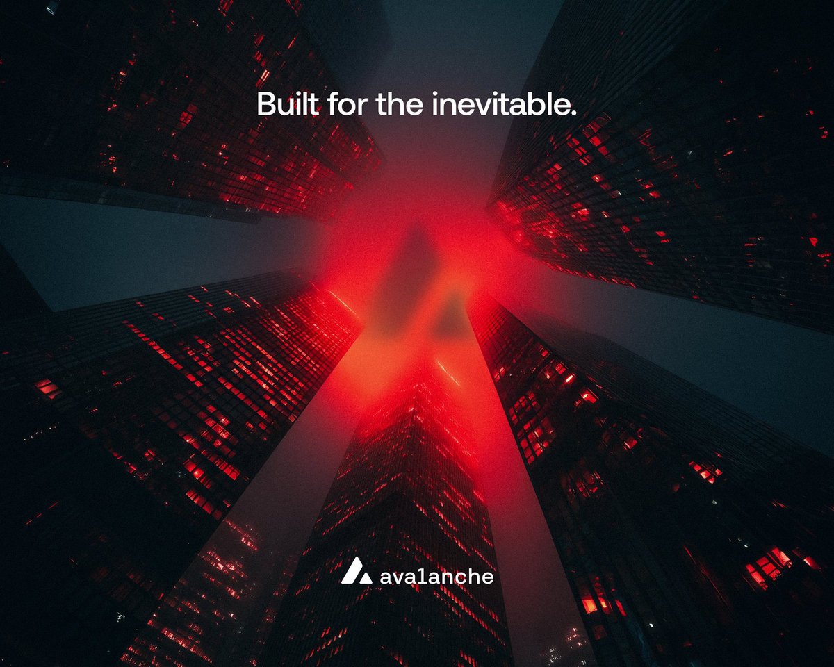 Avaxgirl🔺 tweet media