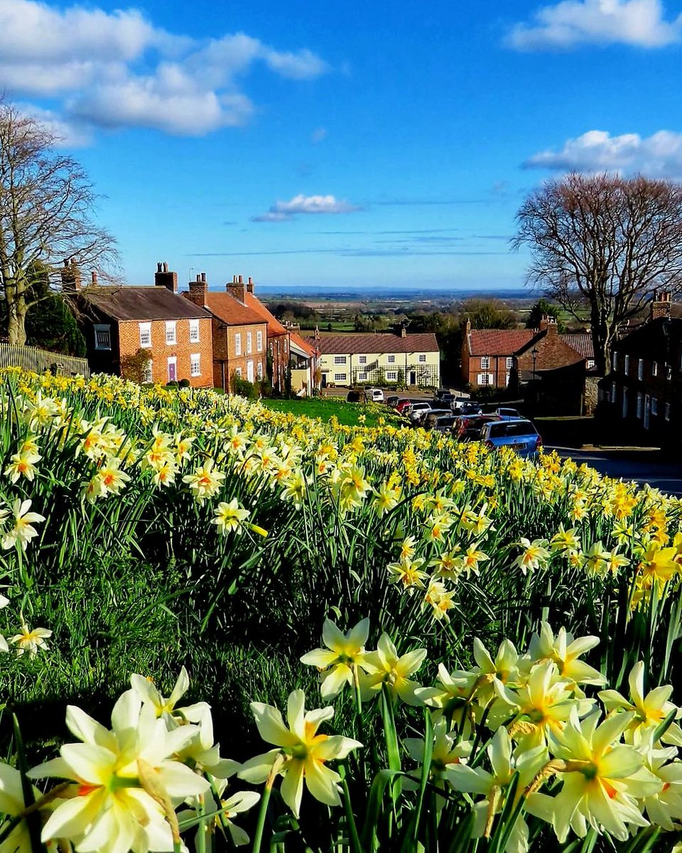 North Yorkshire tweet media