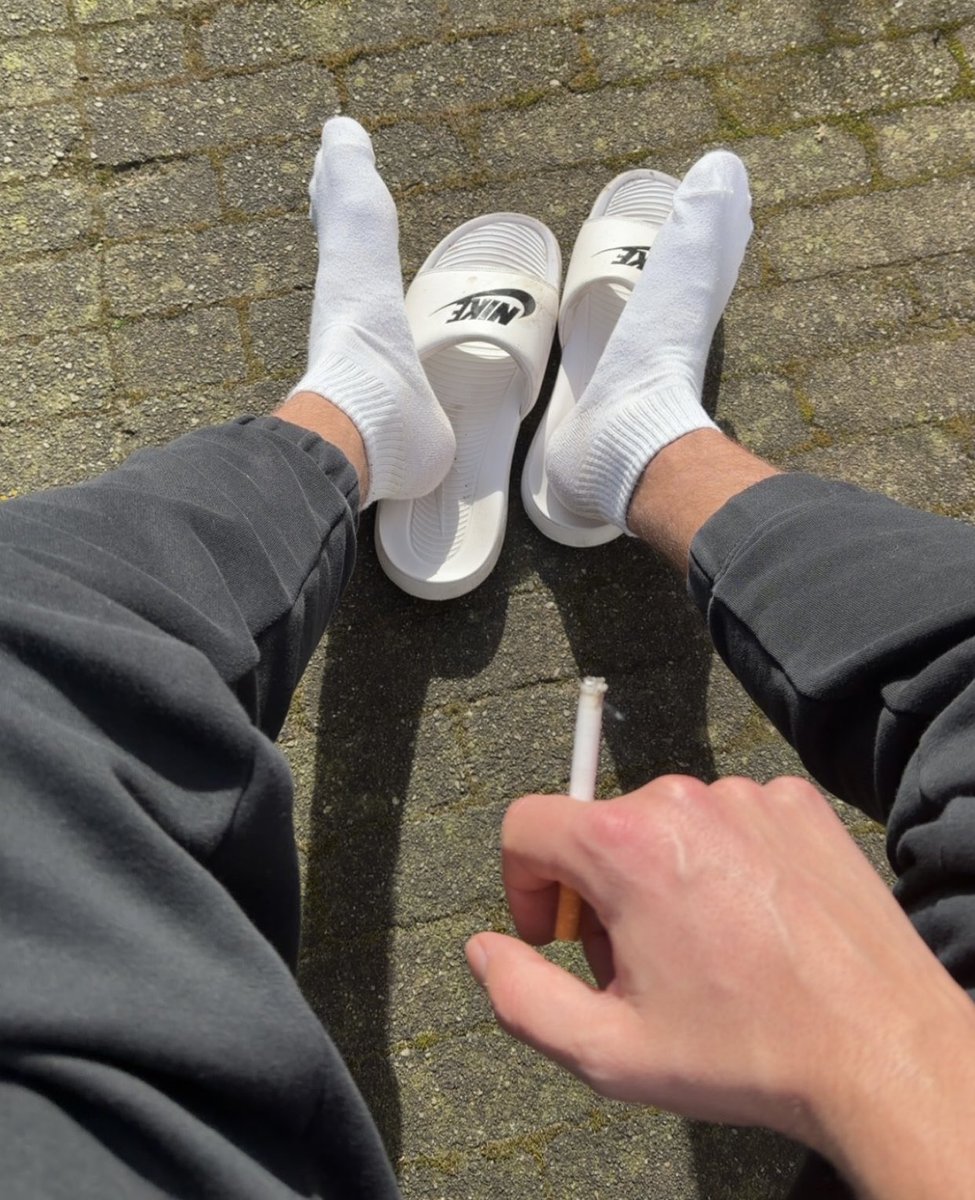 Dan 👑 tweet media