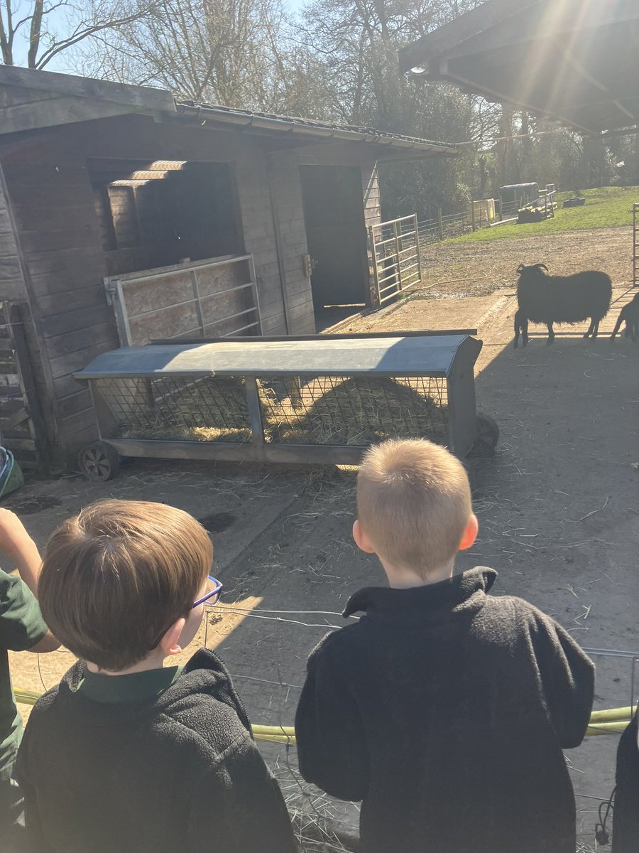 Meadow View Farm Sch tweet media