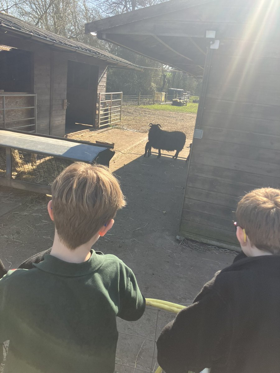 Meadow View Farm Sch tweet media