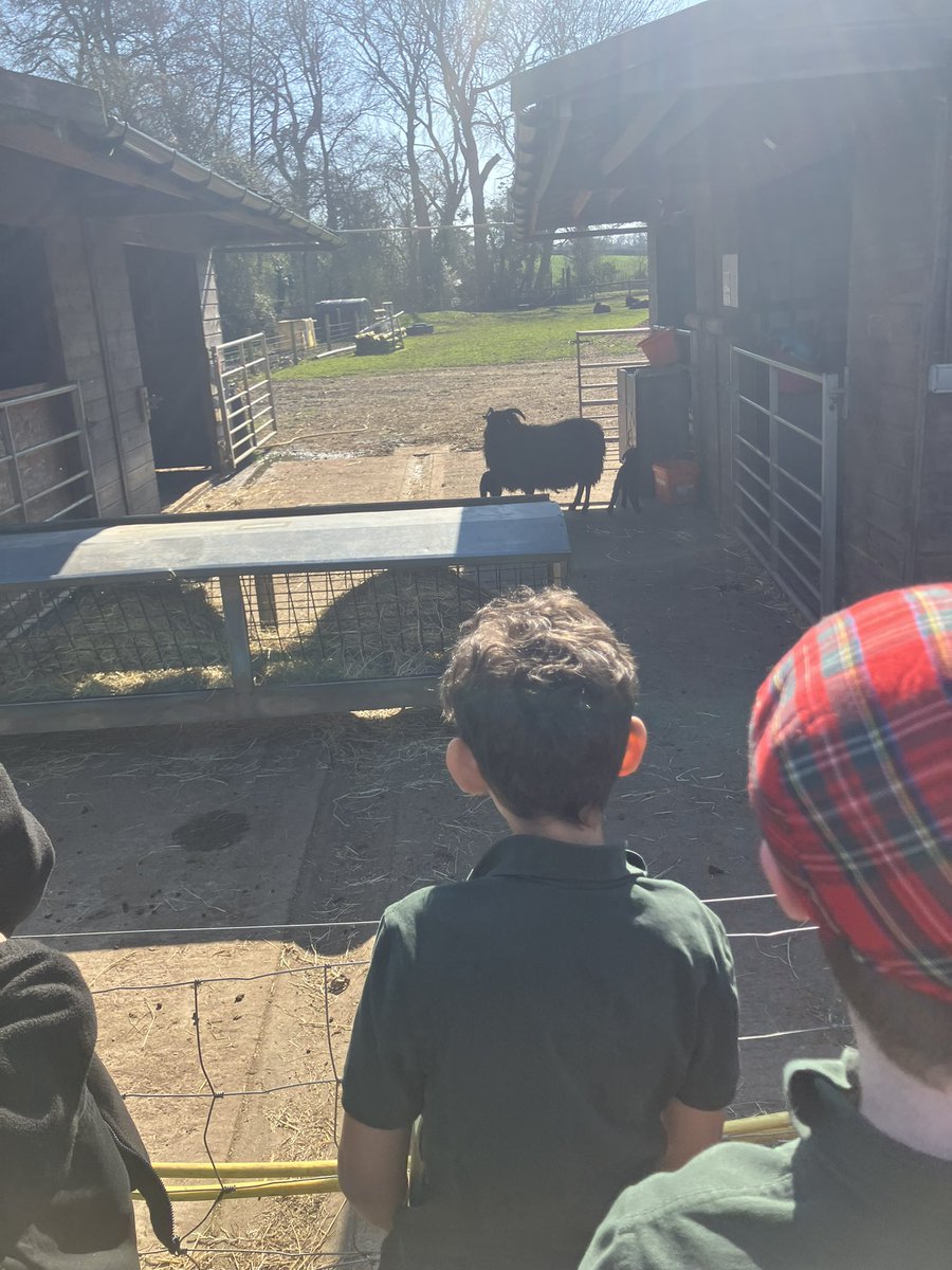 Meadow View Farm Sch tweet media