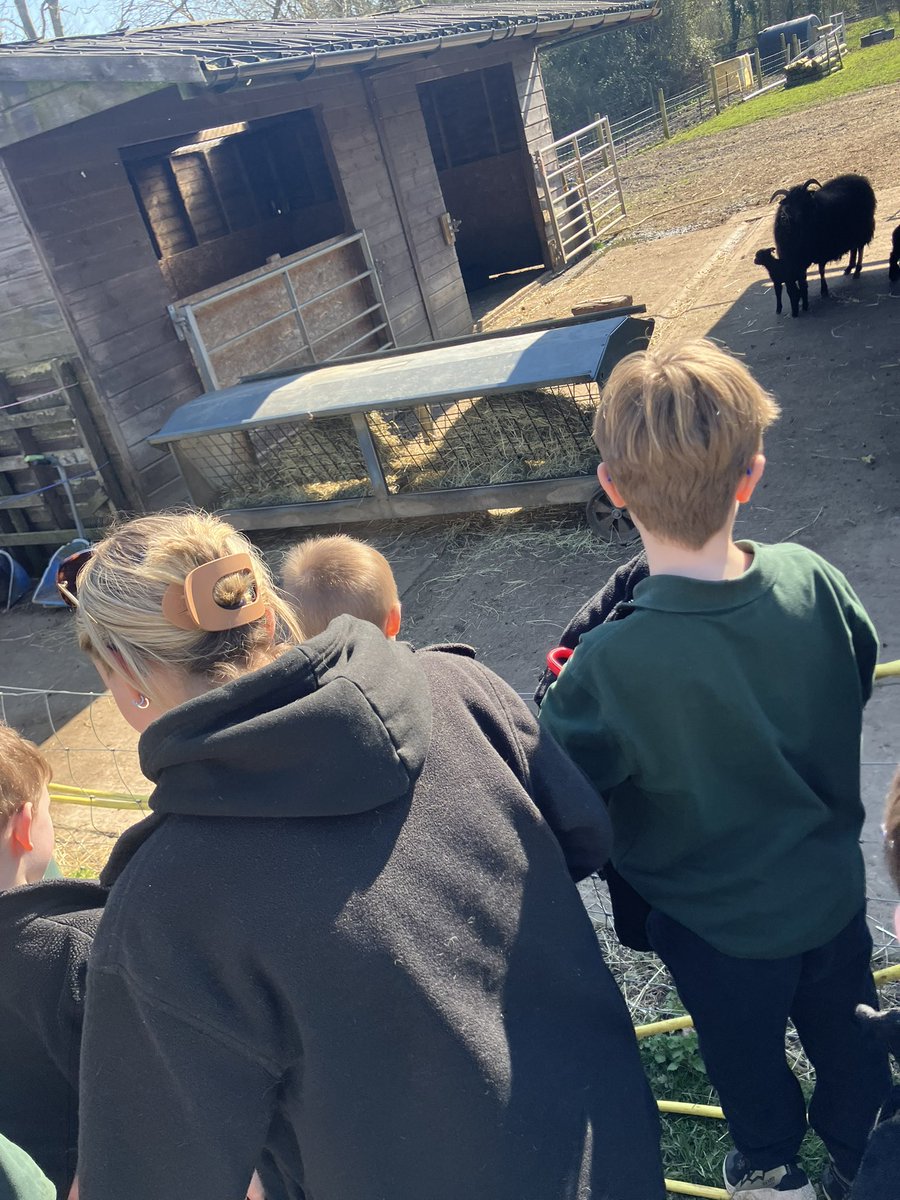 Meadow View Farm Sch tweet media