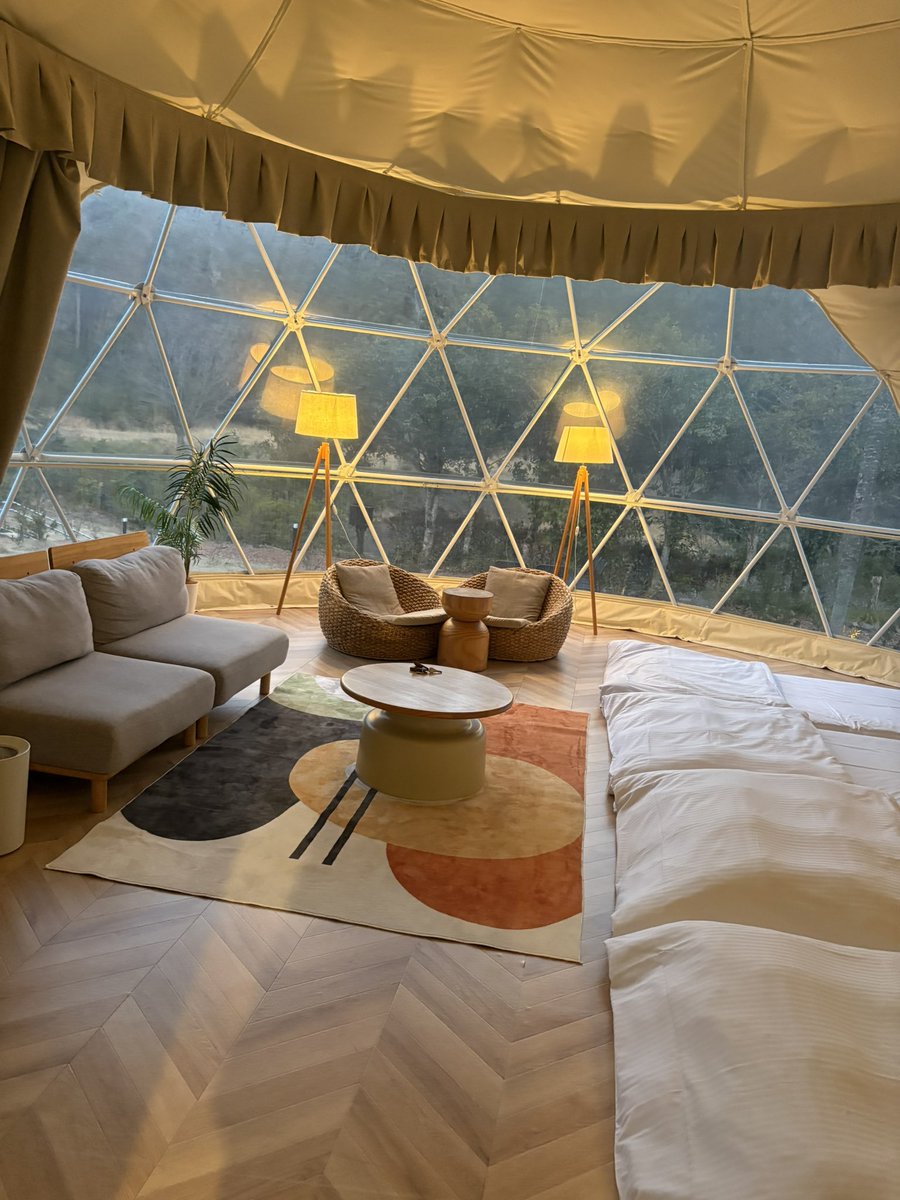 ぽてと。 tweet media