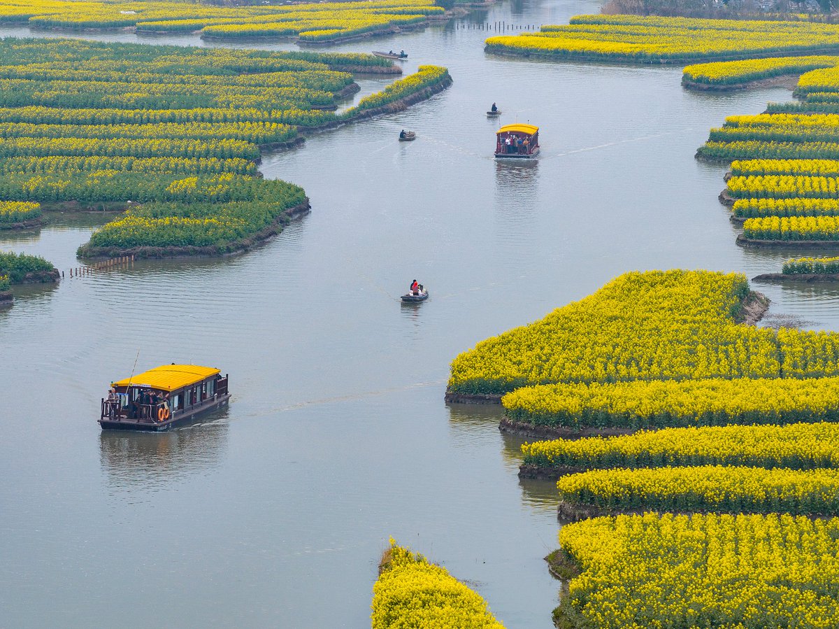 Spring Chunfen Spring has found its perfect balance. 🌸 Today marks the Spring Equinox ...