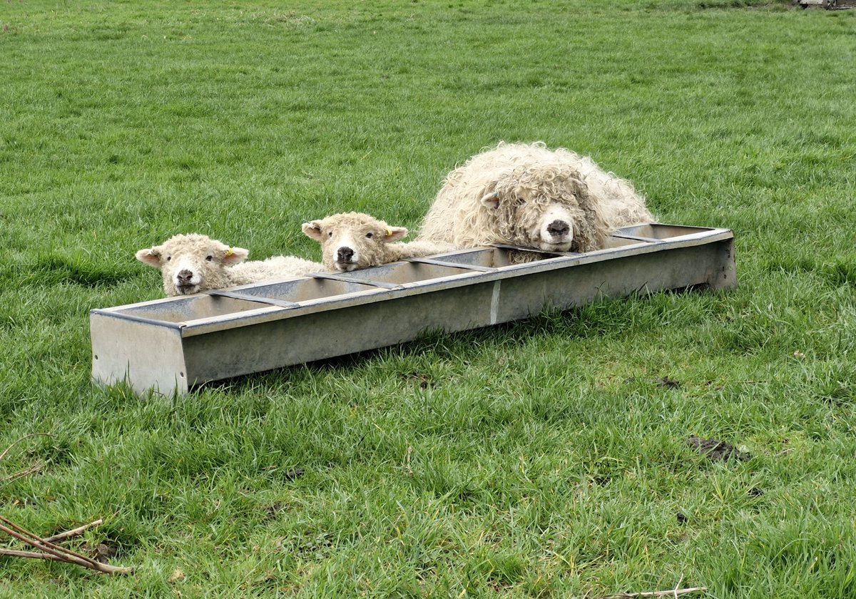 Farmers Weekly tweet media