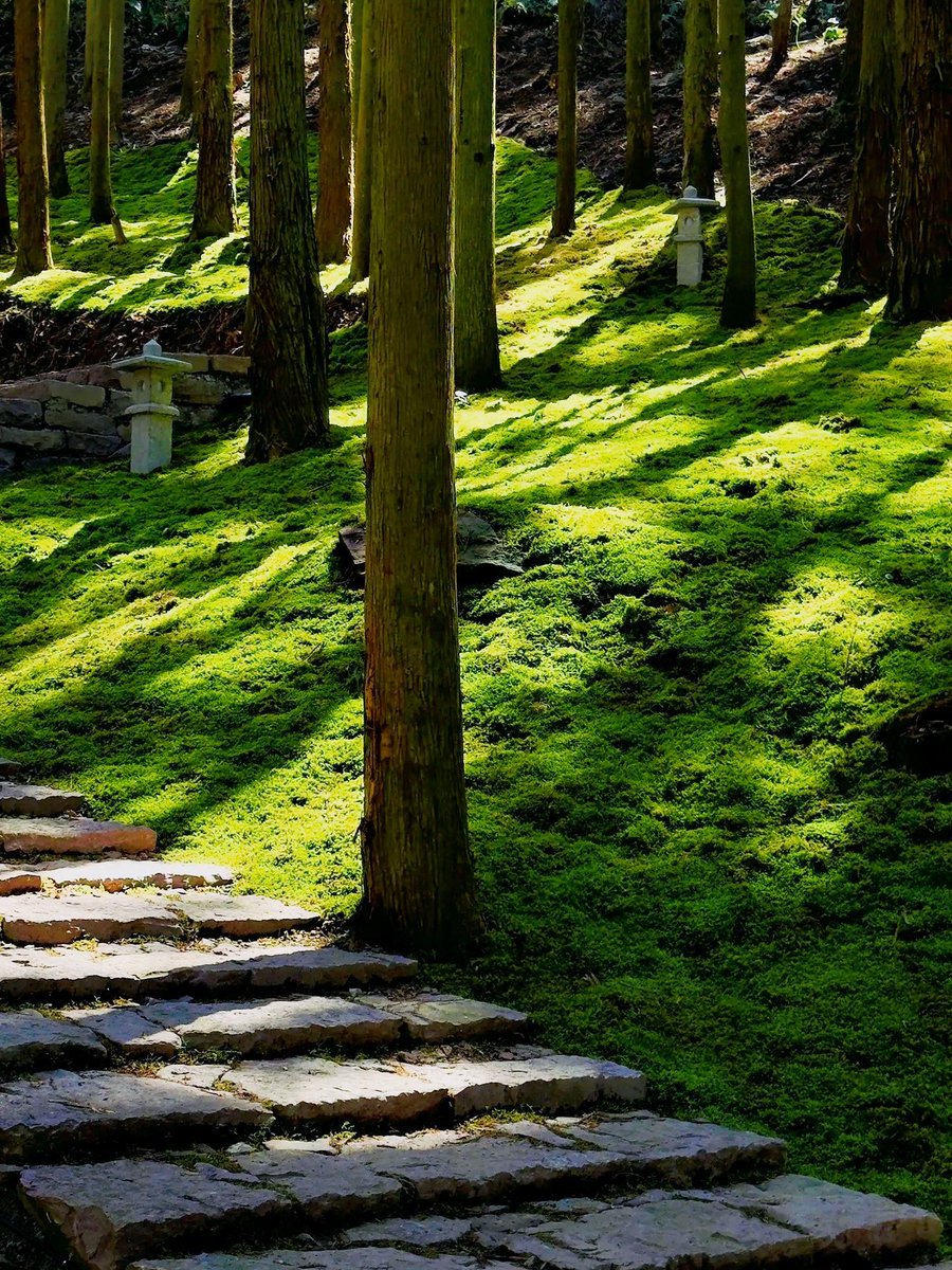 Allen Sherlock tweet media