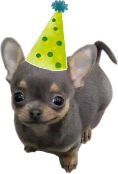 Big Ol' Aba🪴 tweet media