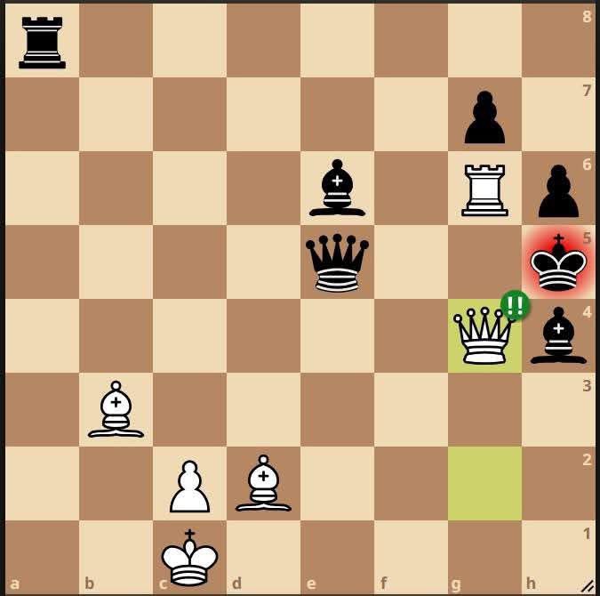 Chess Master tweet media