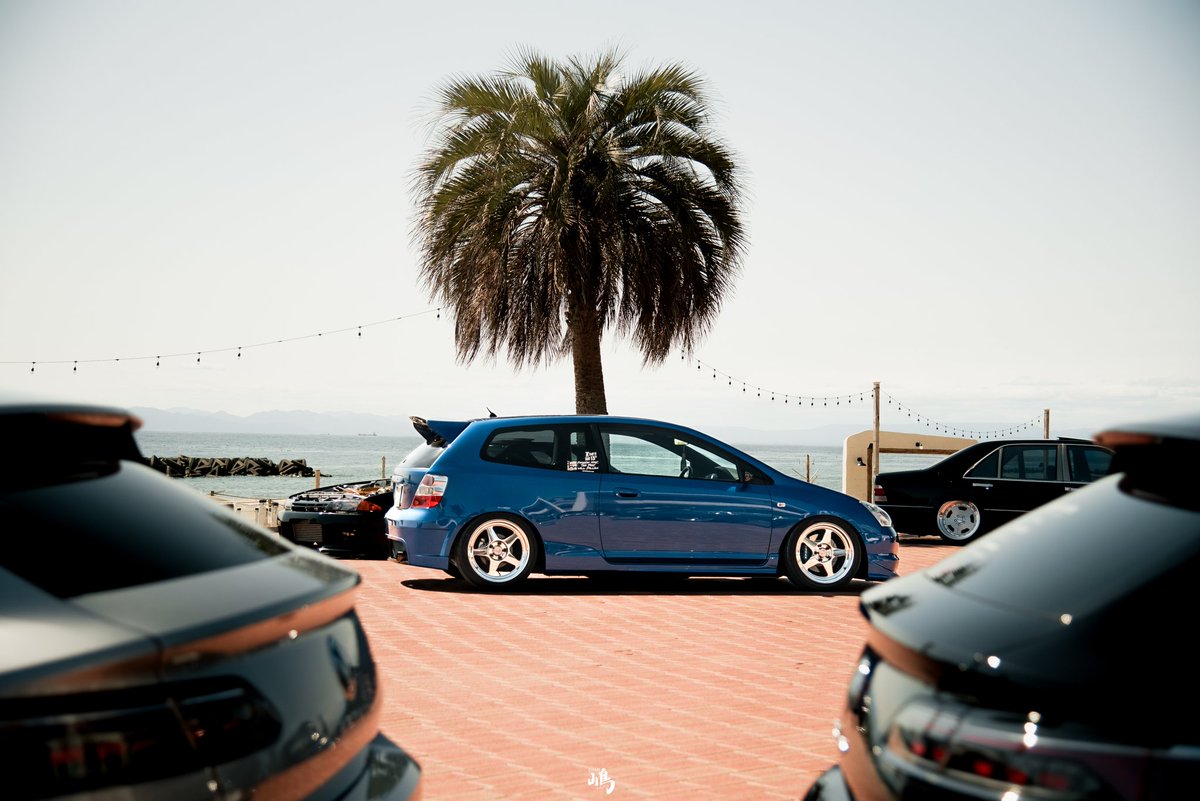 ちゃんしま tweet media