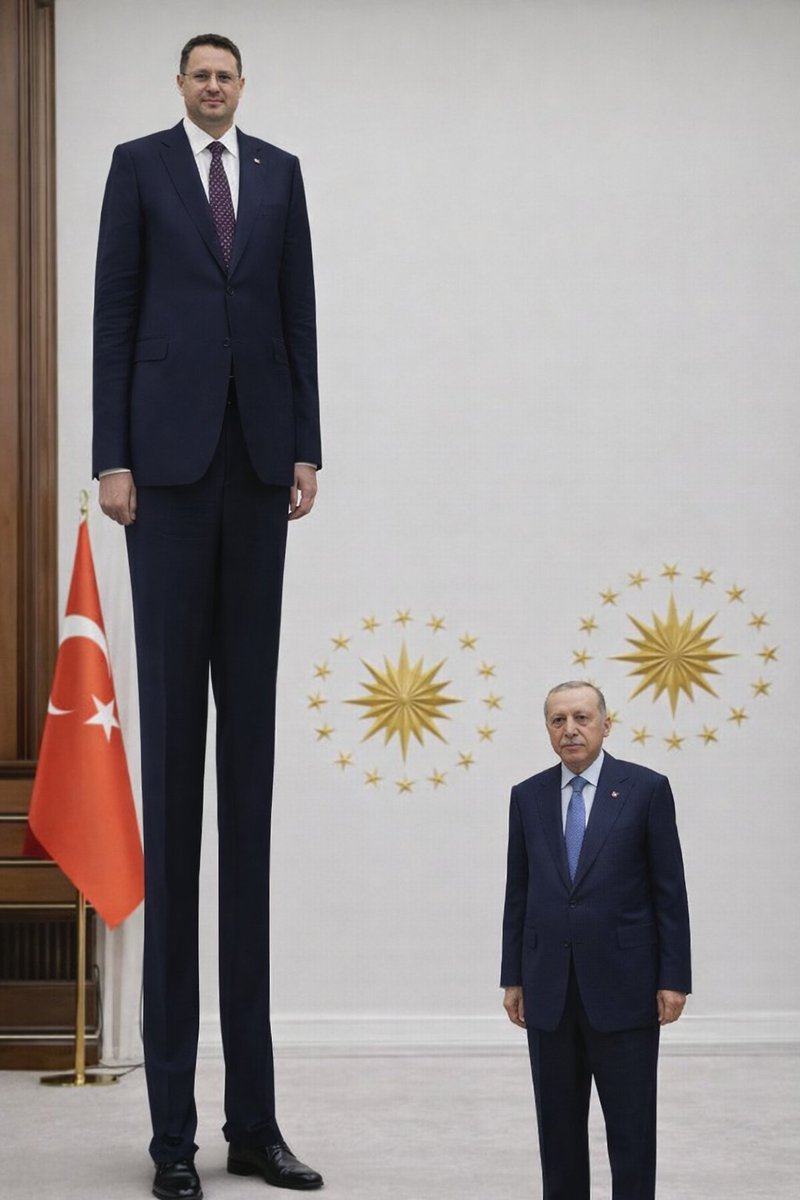 öylesine tweet media