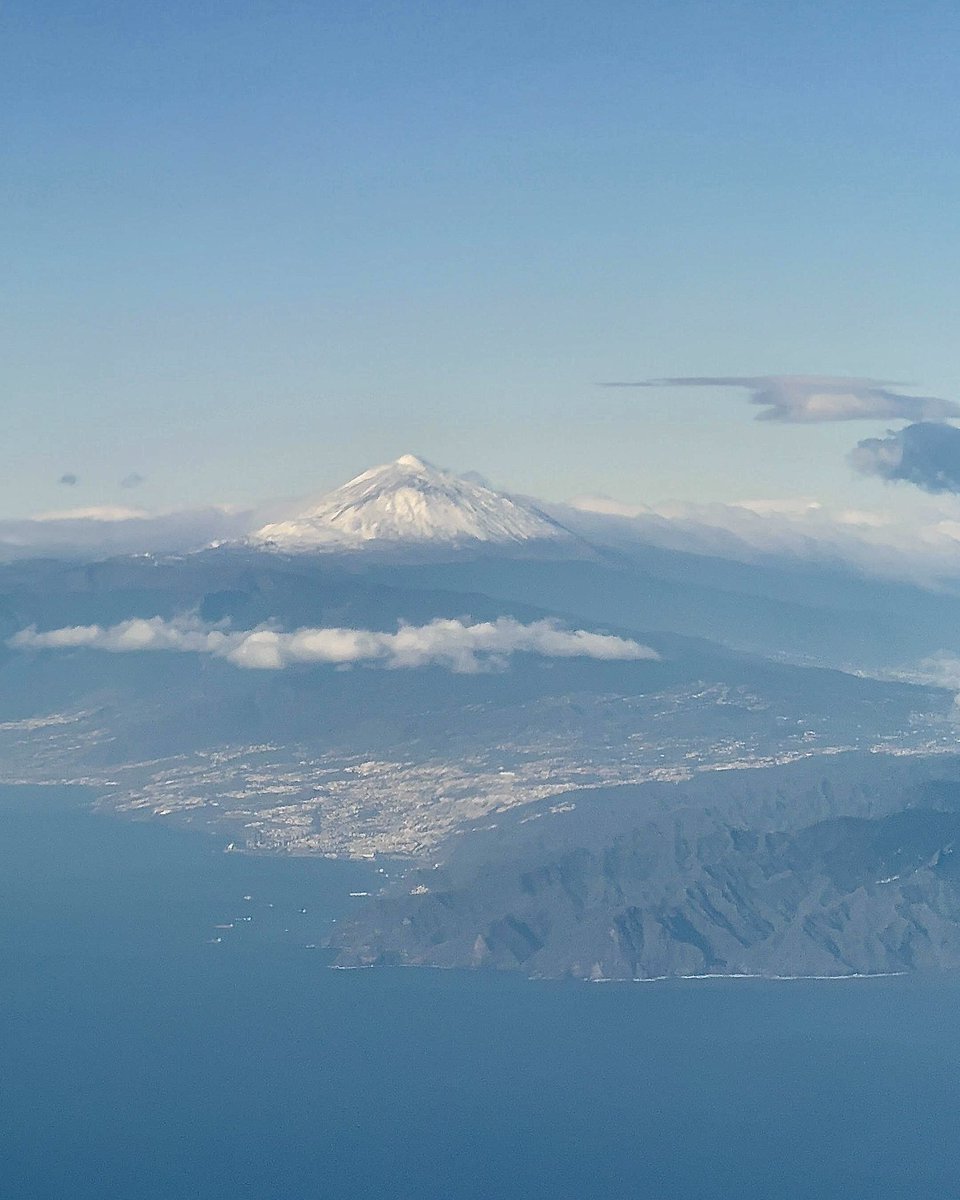 Lope Afonso tweet media