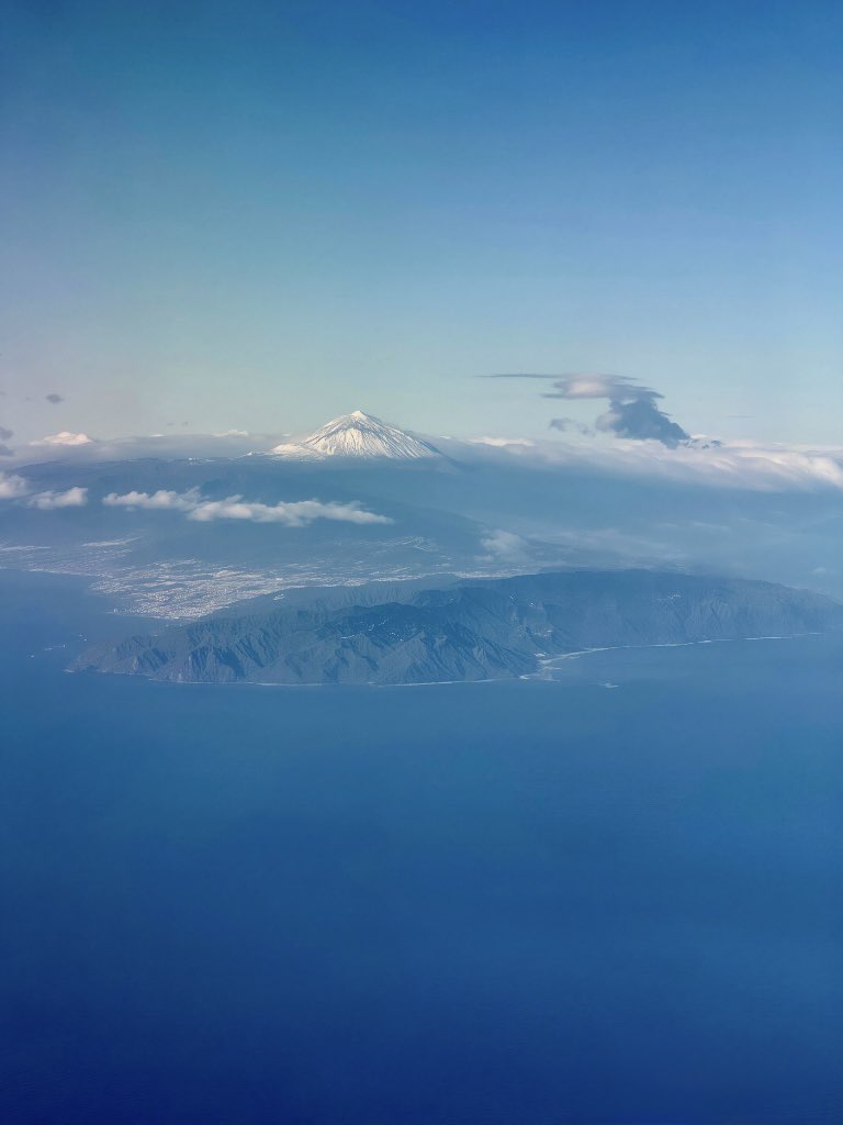 Lope Afonso tweet media