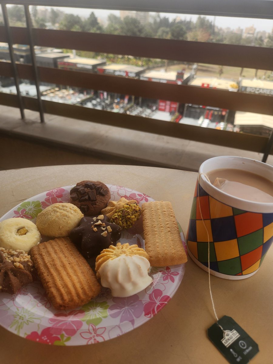 Hoda Zayed tweet media