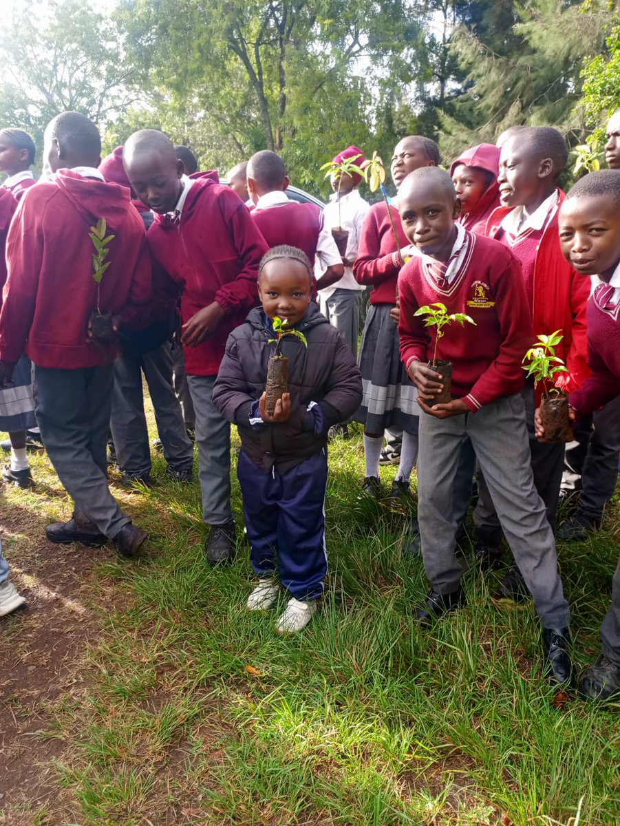 MauForestComplex_iclip tweet media