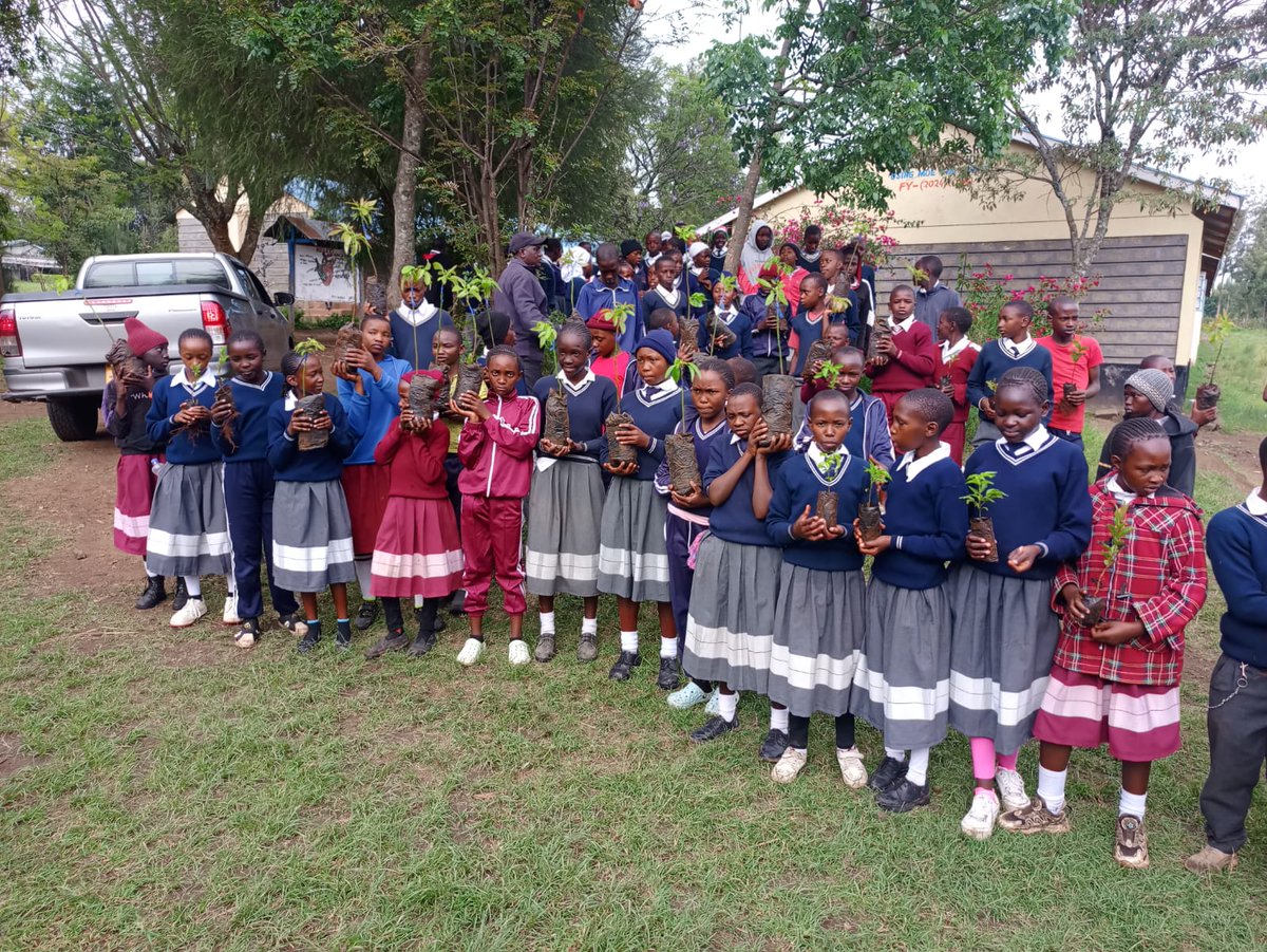 MauForestComplex_iclip tweet media