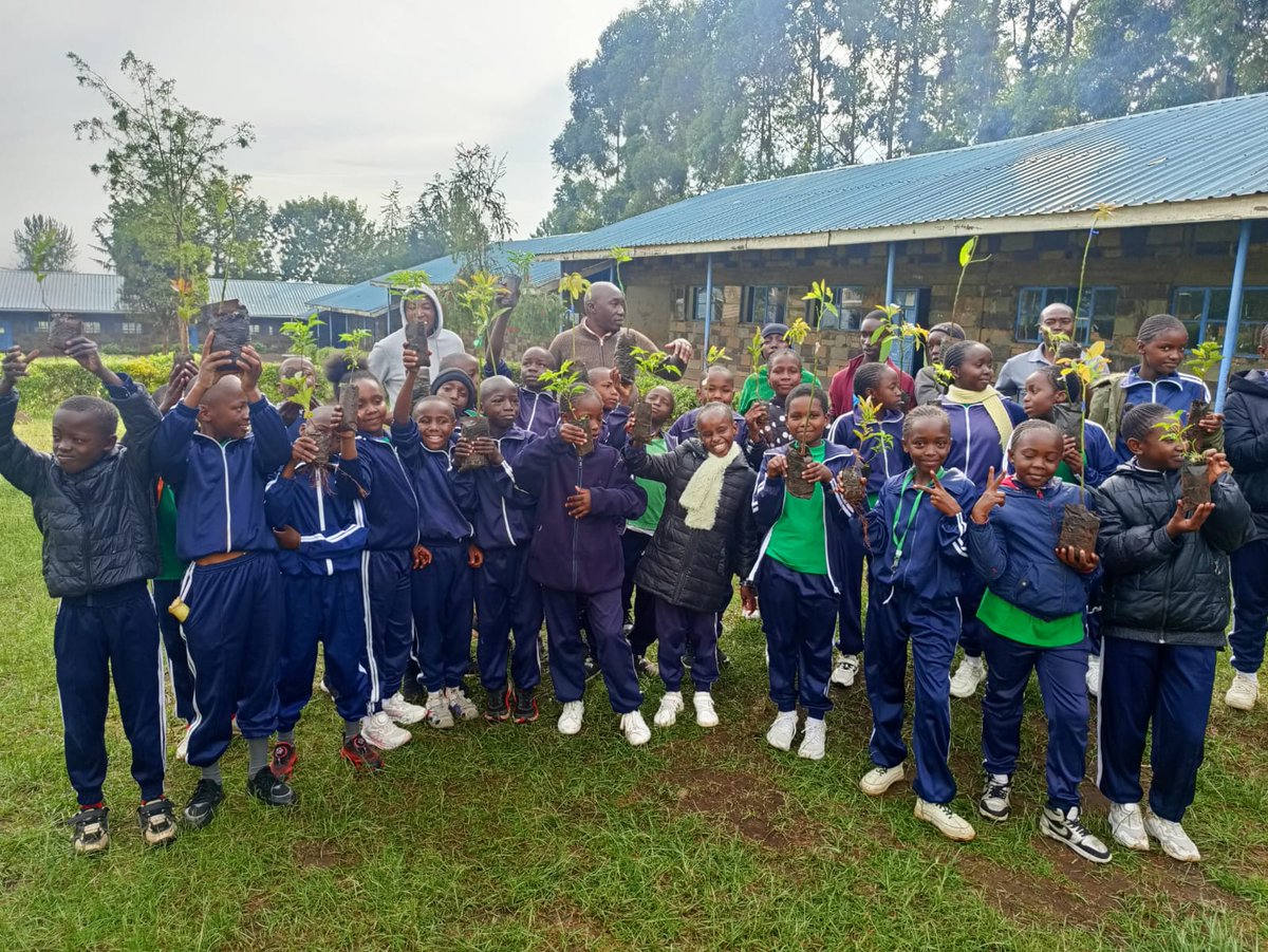 MauForestComplex_iclip tweet media