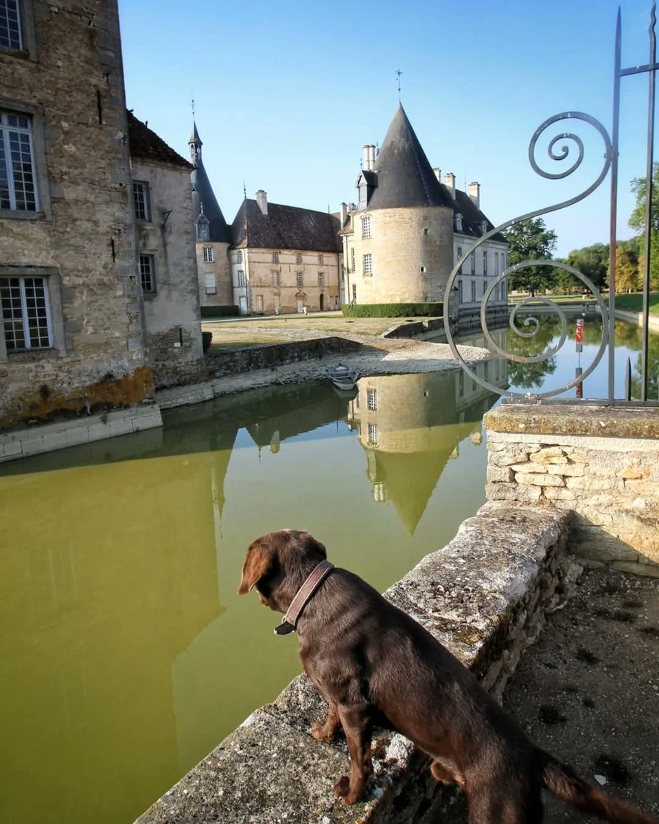 Château de Commarin tweet media