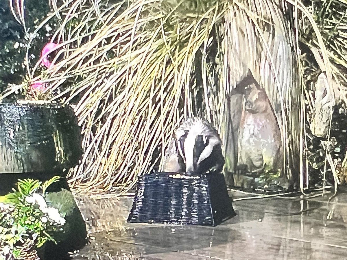 Mr Lumpy & Friends tweet media