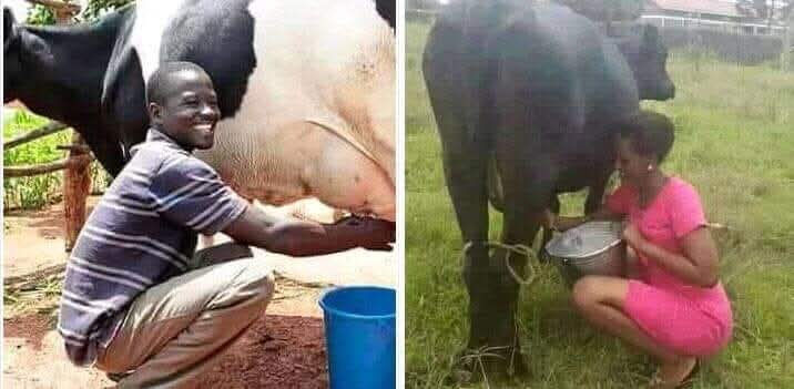 Cherop🕸️ tweet media