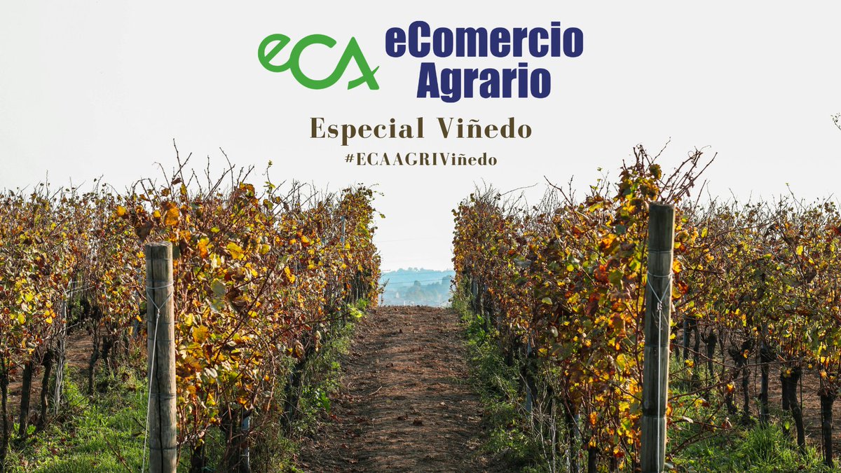 eComercioAgrario tweet media