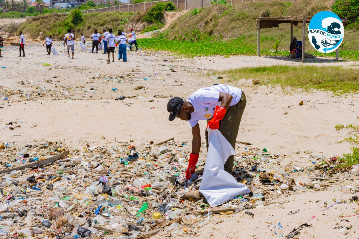 #PLASTICPUNCH tweet media