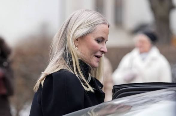 ₿o dEviLLeS tweet media