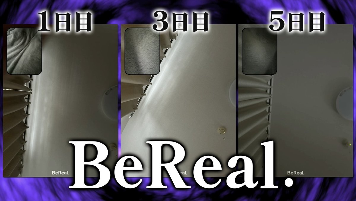 2杯目のこーく tweet media