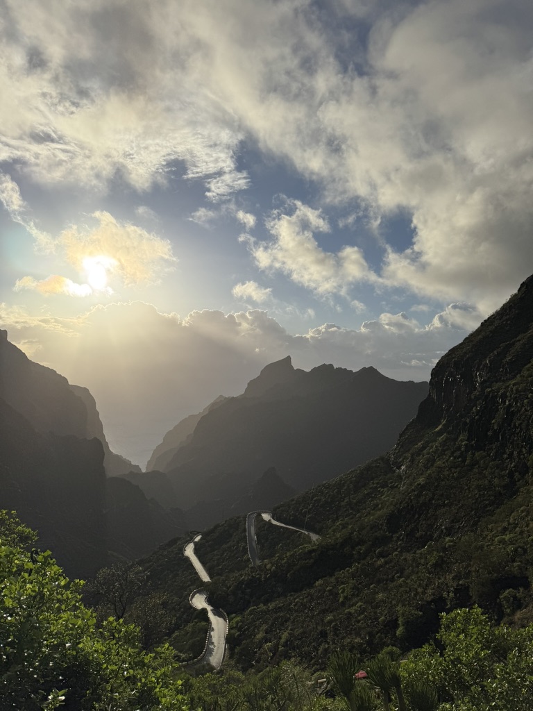 poezdec 🫵😹 tweet media