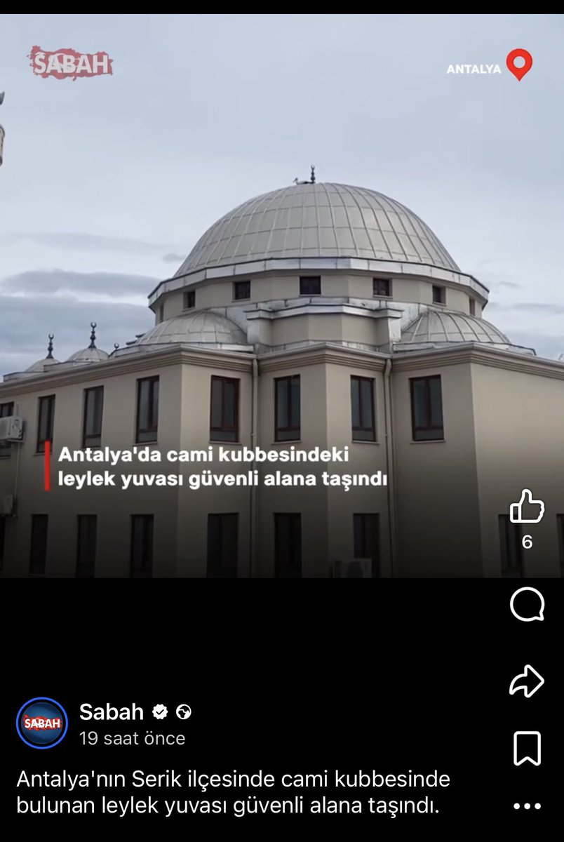 Alper Tüydeş tweet media