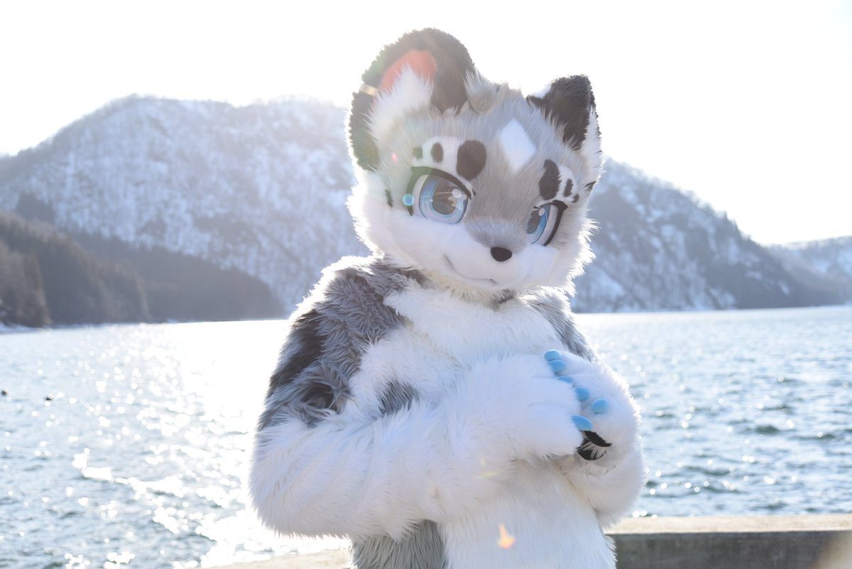 やんやん tweet media