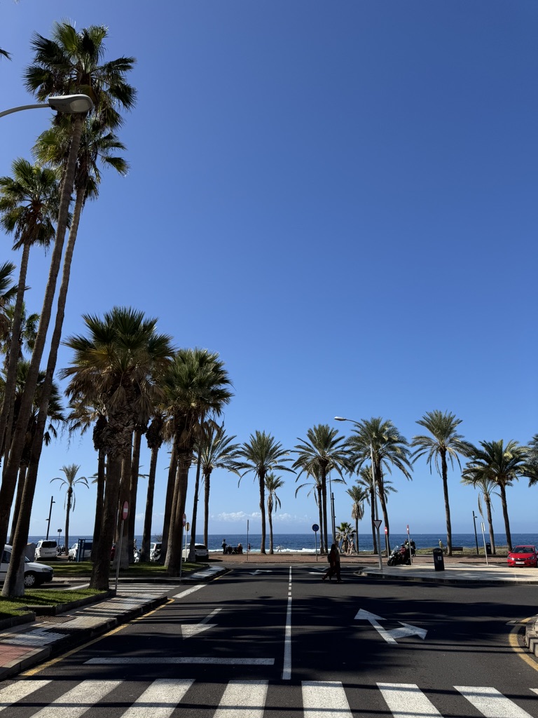 poezdec 🫵😹 tweet media