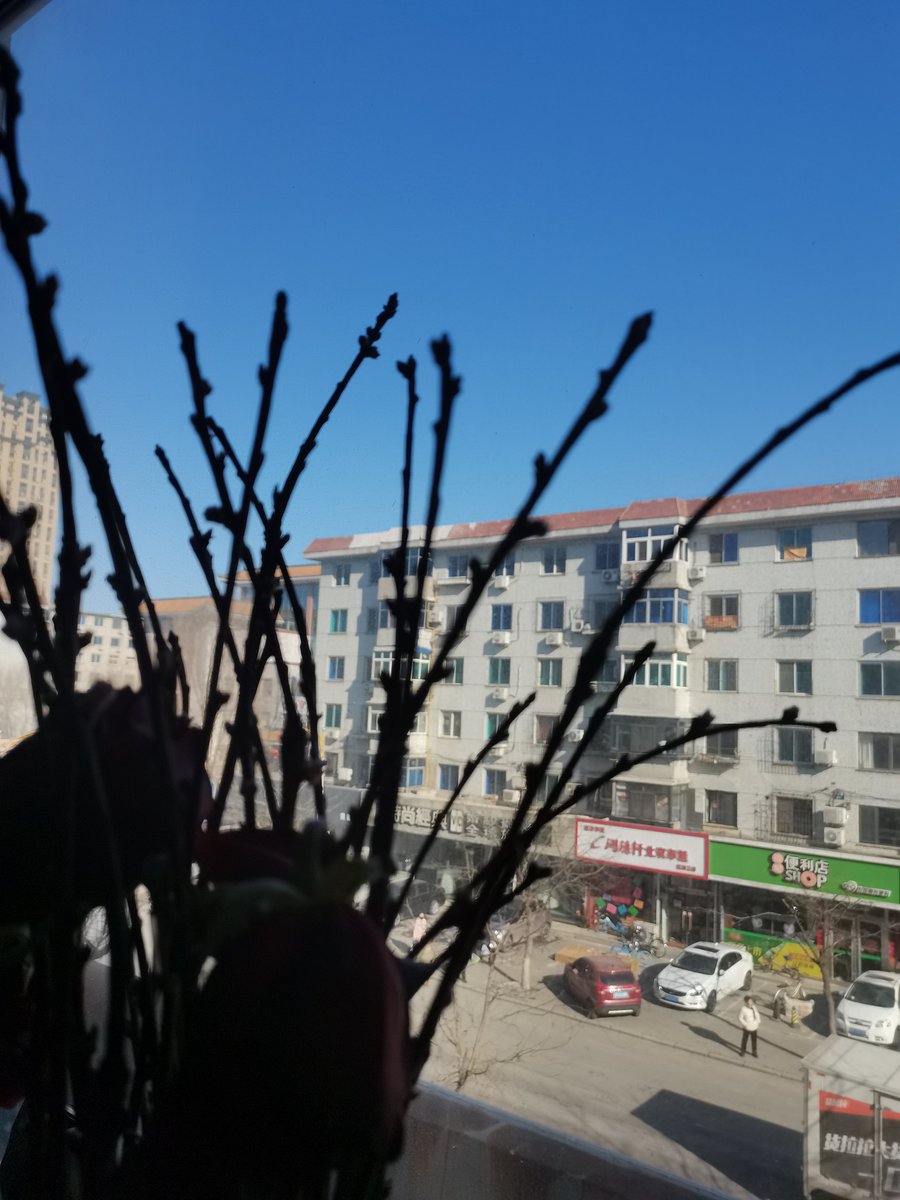 youssef dammak tweet media