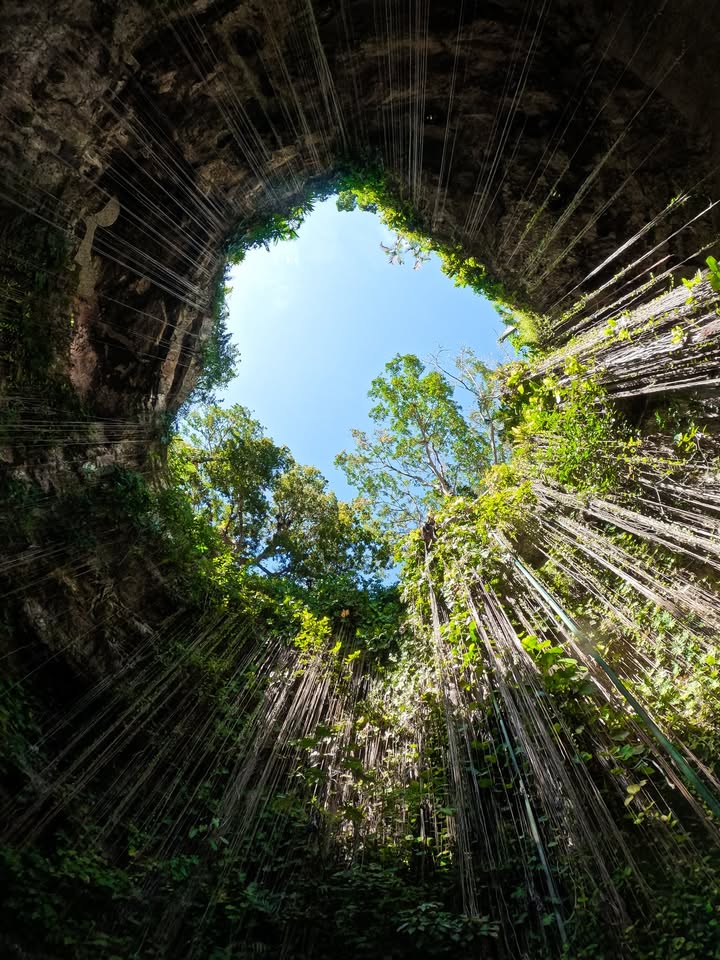 GoPro Japan tweet media