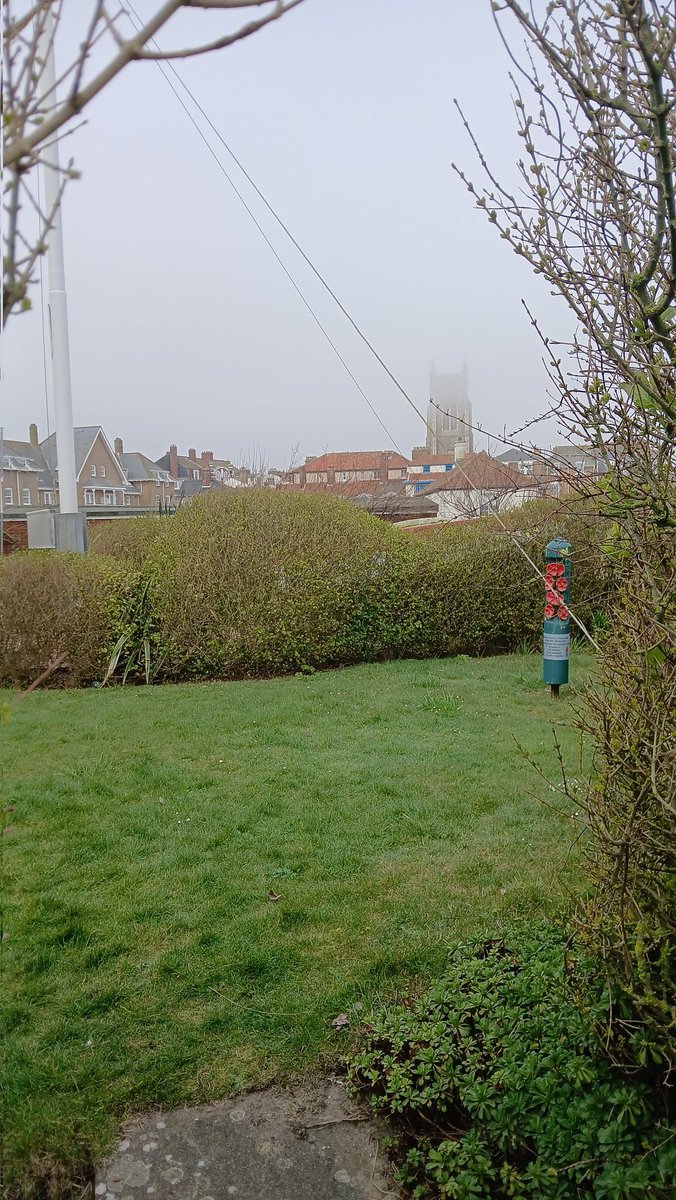 Tales From The Battlefields Podcast tweet media