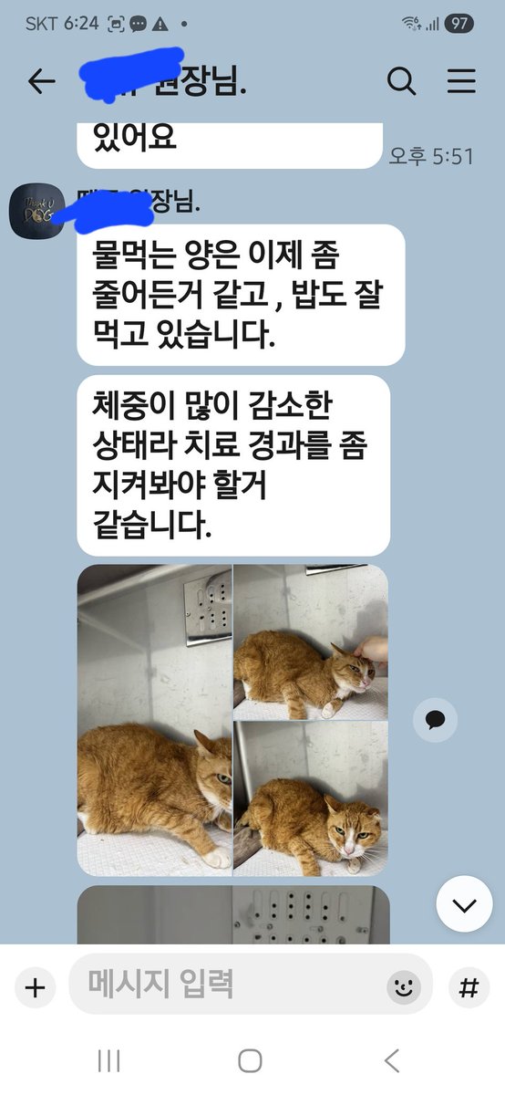 동두천 냥이쉼터 tweet media